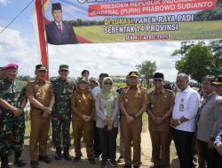 Bambang Iman Santoso Dukung Target Swasembada Pangan 2026 Lewat Panen Raya Padi